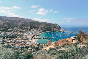 A view from the top of the mountains on Catalina Island. You can see the city of Avalon, Avalon Bay, and Catalina Casino in the distance.